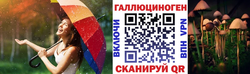 Псилоцибиновые грибы Psilocybine cubensis Сафоново